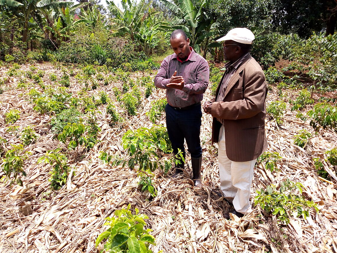 Provision of technical advises on seedlings multiplication in Tarime district